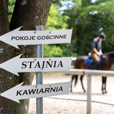 Pokoje Goscinne Cheval クラクフ エクステリア 写真